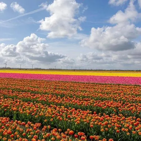別荘 Lovely 8p Close To And Amsterdam Opmeer